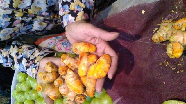 turmeric-pic