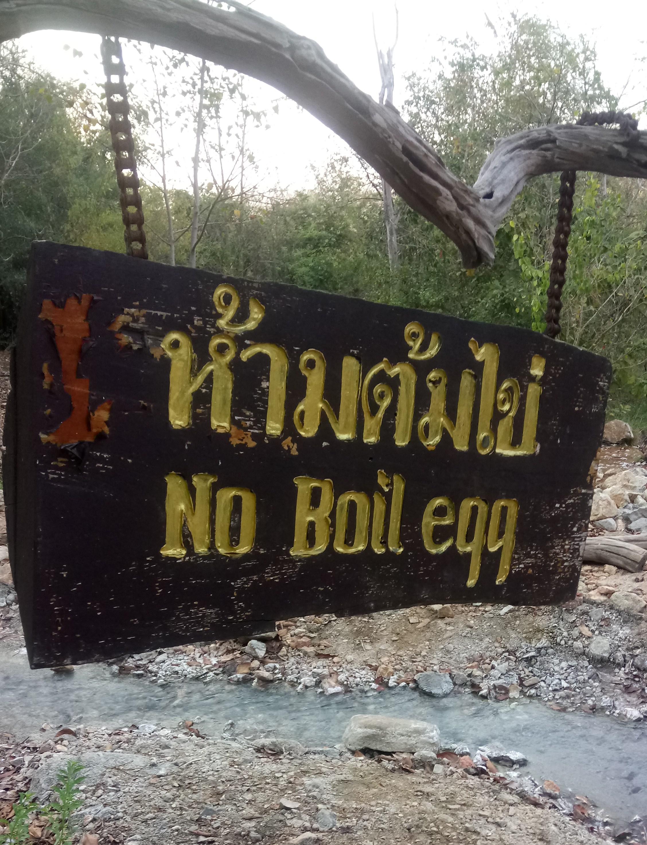 no egg